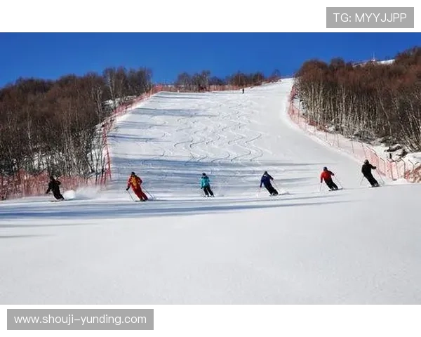 云顶金花阁介绍:如何规划行程以充分体验云顶金花阁的魅力