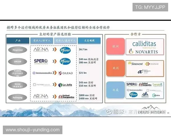 云顶新耀官网安全漏洞修复与风险控制策略确保游戏环境稳定安全运行